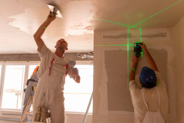 Best Residential Painting Experts  in USA